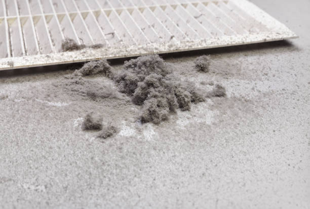 Best HVAC Air Duct Cleaning  in Copperopolis, CA